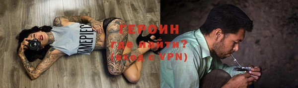 гидра Алексеевка