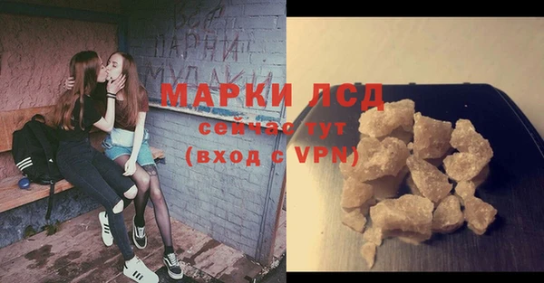 гидра Алексеевка